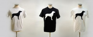 The Lazerian logo resplendant on their T Shirts