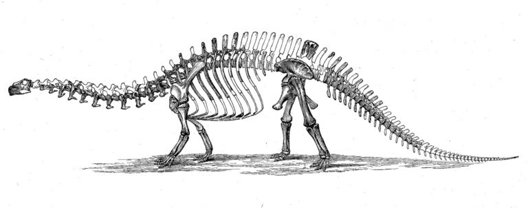 recreating dinosaurs