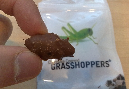 Chocolate Covered Grasshoppers Promotion
