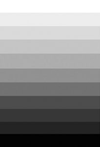 Graphic Design Principles 4 - Value