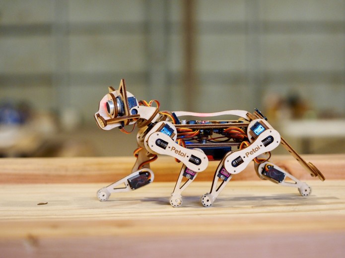 Building A Robot - Petoi Nybble Cat