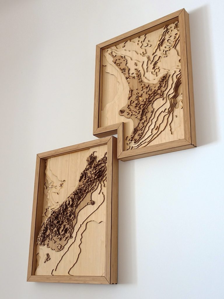 Antler And Pine 3 - NZ 3D Map