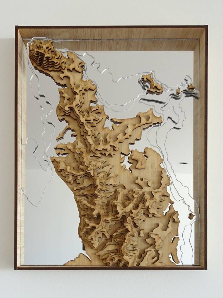 Antler And Pine 4 - NZ Map - Coromandel Peninsula