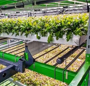 AI plant monitoring
